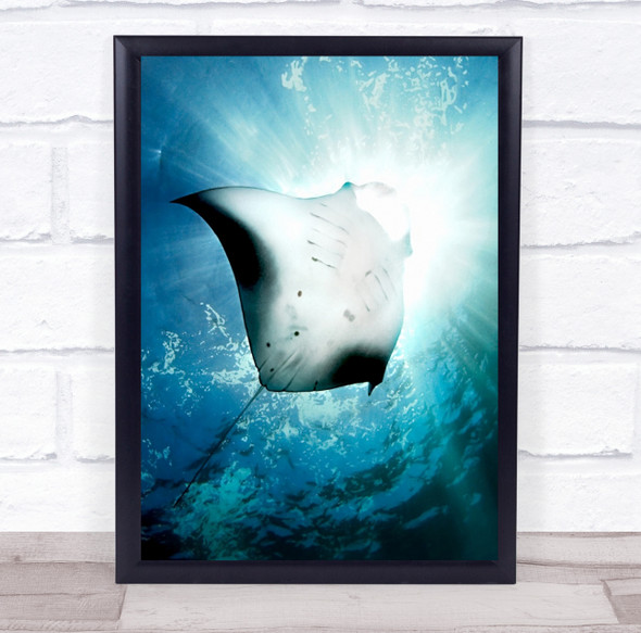 Manta Ray Sunshine Sun Rays Surface Water Ocean Pacific Indian Wall Art Print