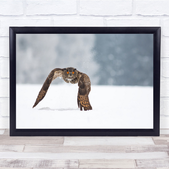 Nature Wildlife Bird Owl Flight Fly Snow Winter Hunter Hunting Wall Art Print