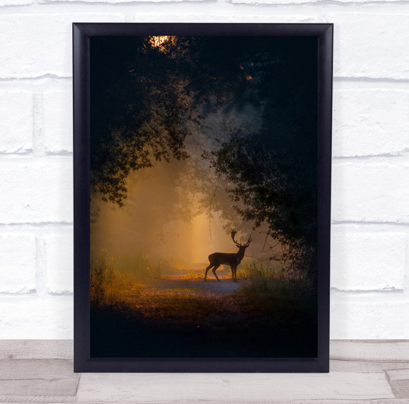 Tuscany Animals Antler Antlers Deer Path Forest Road Way Italy Wall Art Print