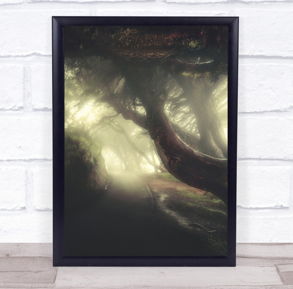 USA California Fog Mist Foggy Landscape Woods Tree Trees Point Wall Art Print