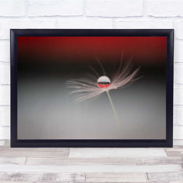 Feather Drop Water Pearl Droplet Red Wall Art Print