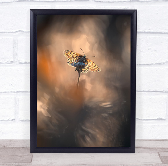 Naturally Framed butterfly on flower Wall Art Print