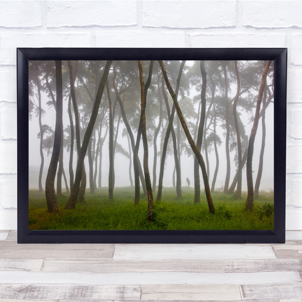 Pine Trees In Forest Foggy Landscape Wall Art Print