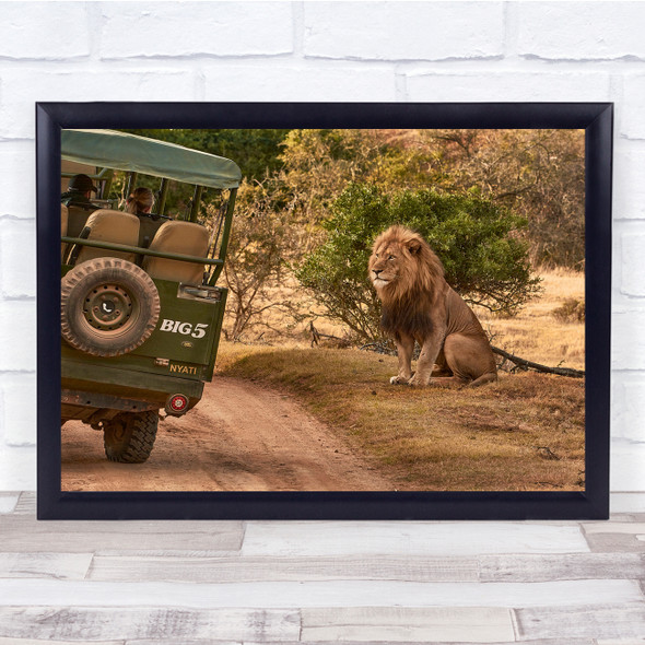 Safari Savannah Lion Mane Truck Jeep Wall Art Print