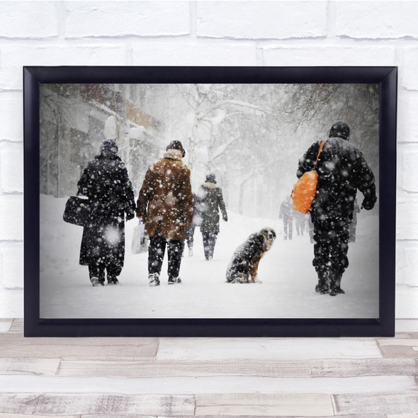 Snowy Weather Winter Dog Cold Animal Wall Art Print