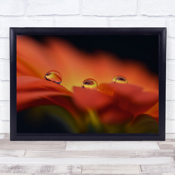 Triplet droplets orange flower petal Wall Art Print