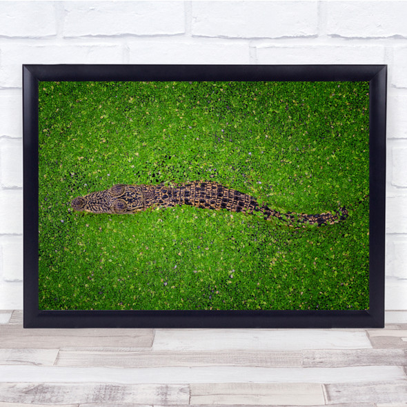 Crocodile Animal Green Water nature Wall Art Print