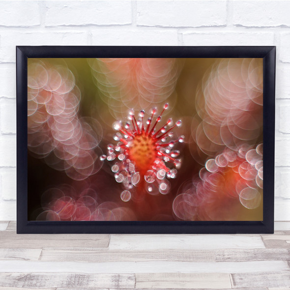 Droplets Blur Dew Macro Netherlands Wall Art Print