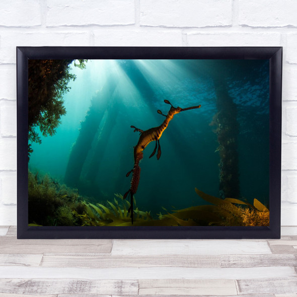 Enchanted Dragon underwater Sealife Wall Art Print