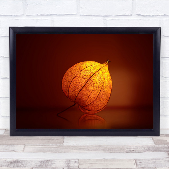 Physalis Light Leaves Magic Lantern Wall Art Print