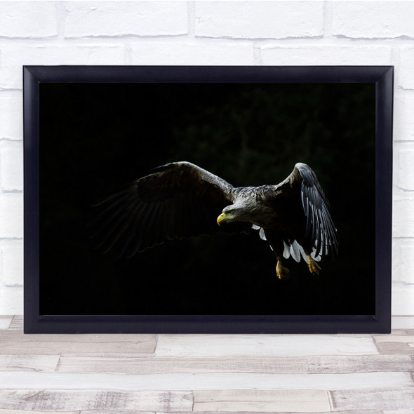 Eagle Flying Bird Dark Evil Talons Wall Art Print