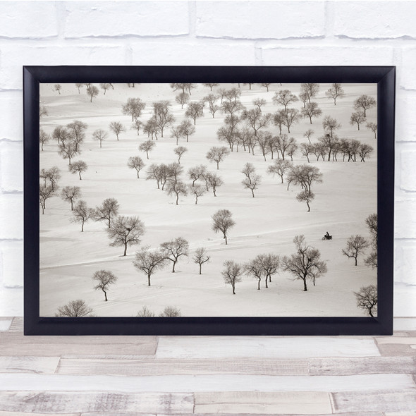 Trees Desert Biker Travelling Path Wall Art Print