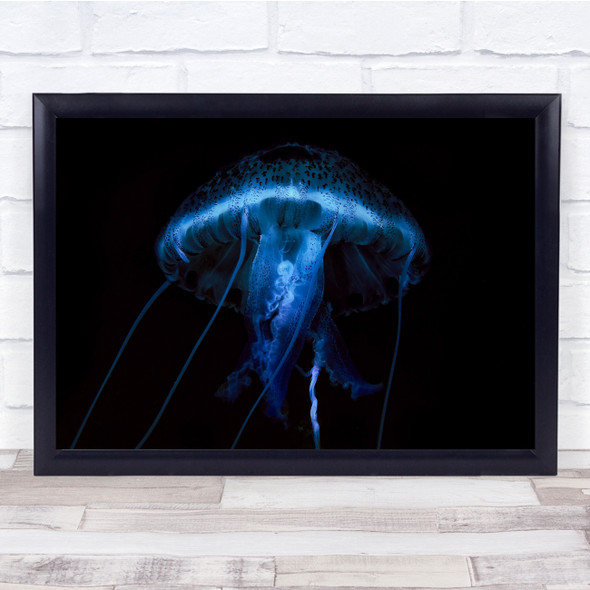 Underwater Jellyfish Sea Blue dark Wall Art Print