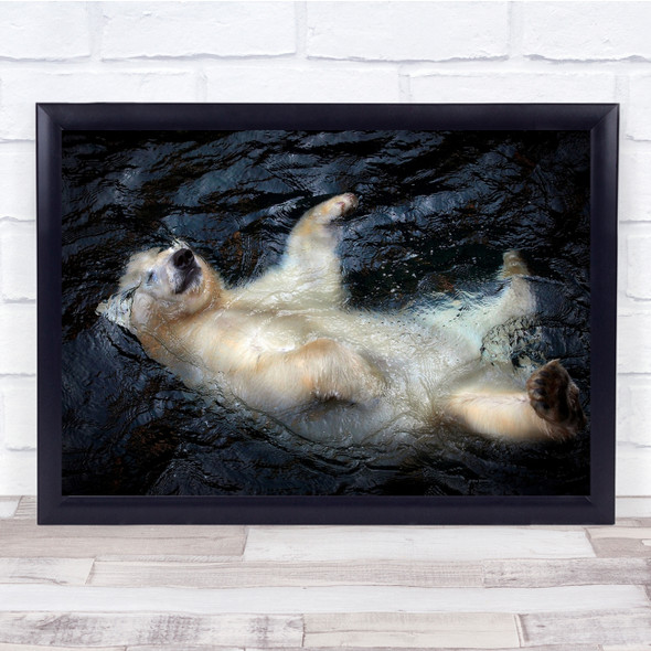 Animals Floating Funny Polar bear Wall Art Print