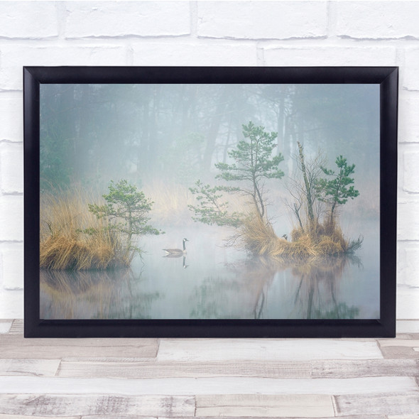 Fog Mist Goose Haze Lake Wildlife Wall Art Print