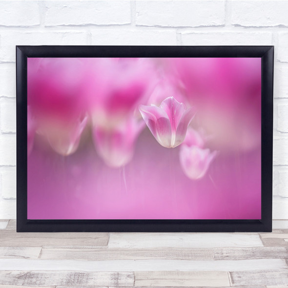 Tulips Flowers Bokeh Blurry Macro Wall Art Print