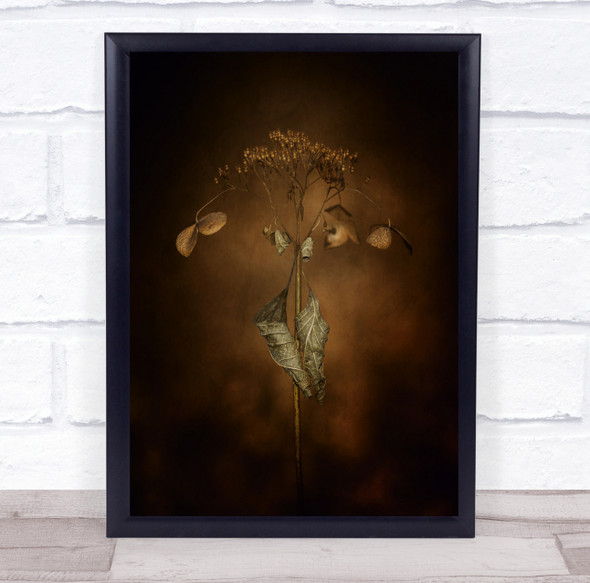 Withe Hydrangea dry flower leaves Wall Art Print