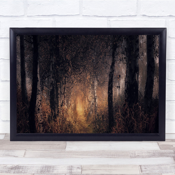 Forest Foggy Trees Path sun beam Wall Art Print