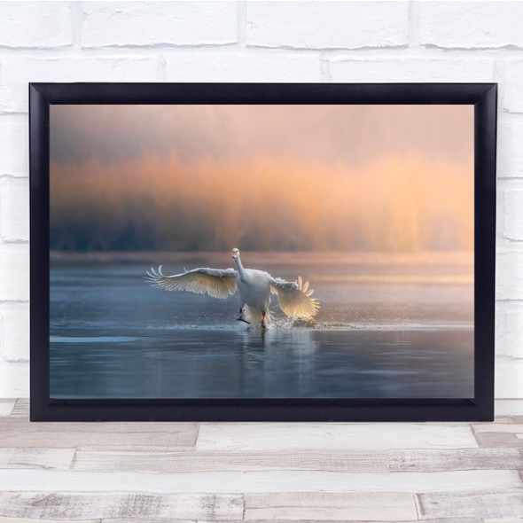 Landscape Goose Running On Water Wall Art Print