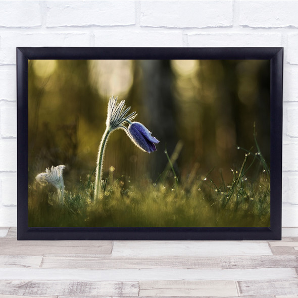 Nature Grass Bokeh purple flower Wall Art Print