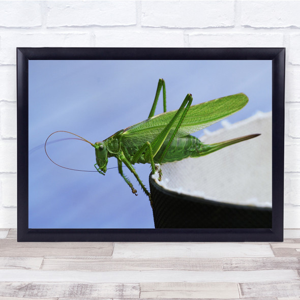 On The Rubber Boot Green Cricket Wall Art Print