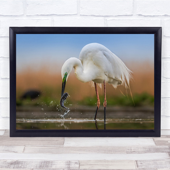 Struggle Fish Bird Water Fishing Wall Art Print