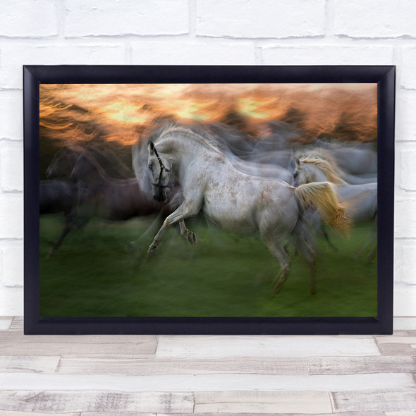 Up And Down horse jumping blurry Wall Art Print