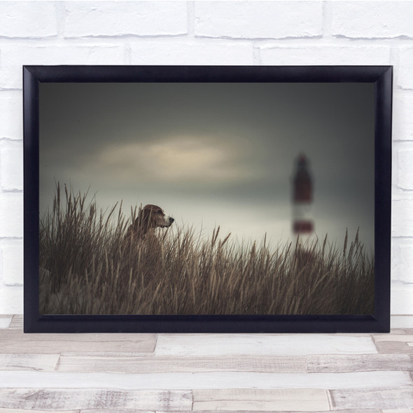 Dogs Animals Seaside Wind Beach Wall Art Print