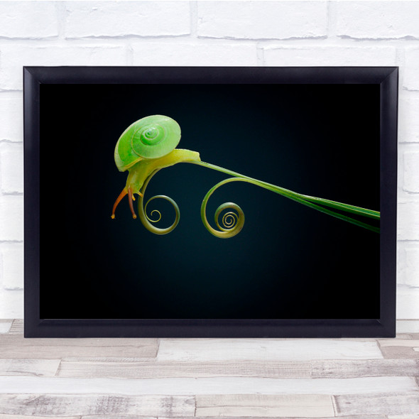 Green Snail Macro Animal Nature Wall Art Print