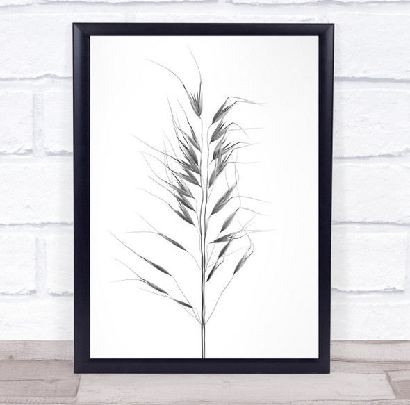 reeds floral simple Still Life Wall Art Print