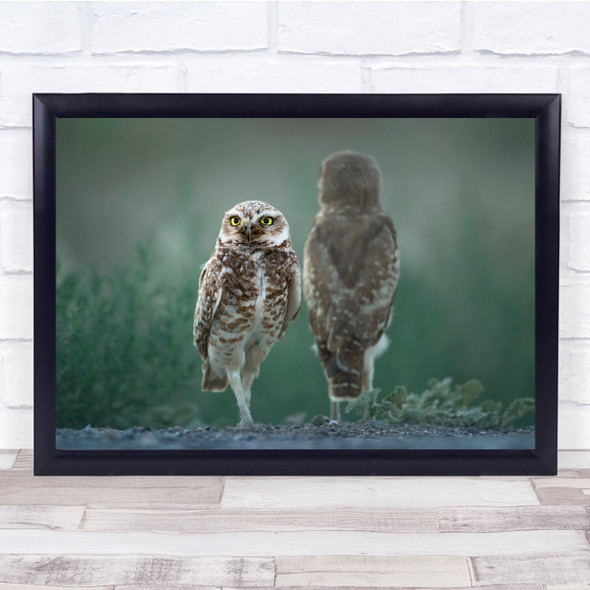 My Shadow Owls animals nature Wall Art Print