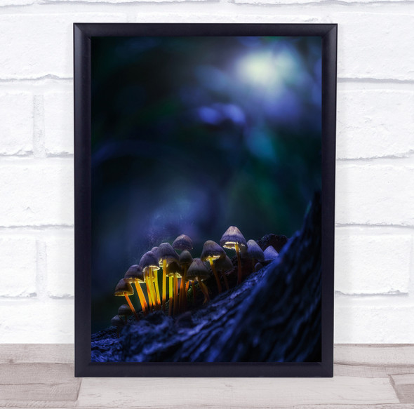 Mushrooms Fungi Glow Glowing Wall Art Print