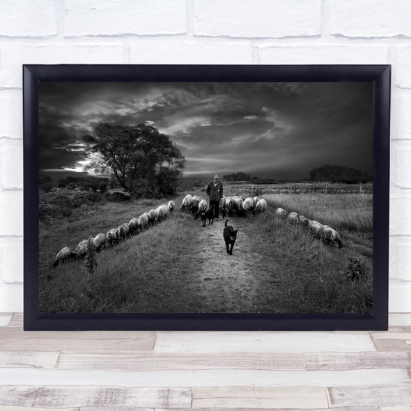 The Shepherd Sheep dog Field Wall Art Print