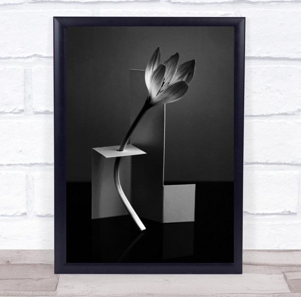 Flower In A Modern Setting Wall Art Print