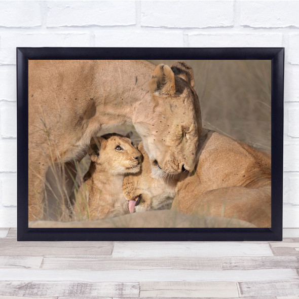 Lions Family Care Wildlife Wall Art Print