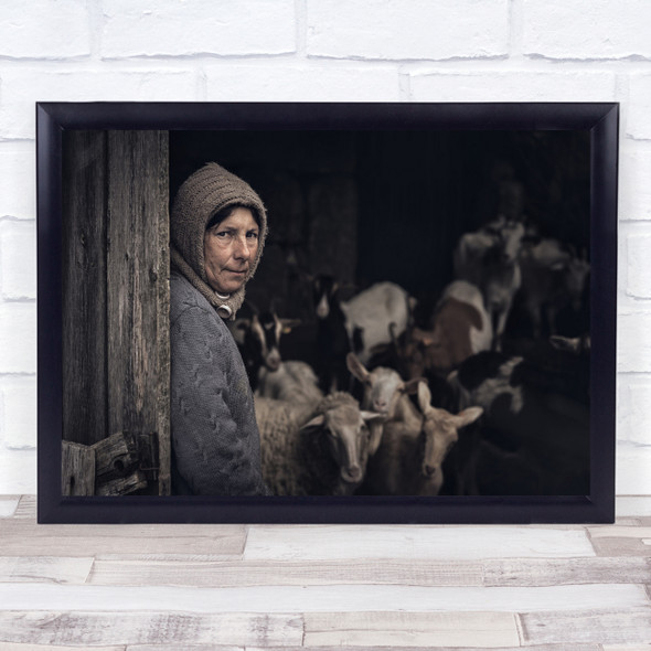 A Pastora old woman sheep Wall Art Print