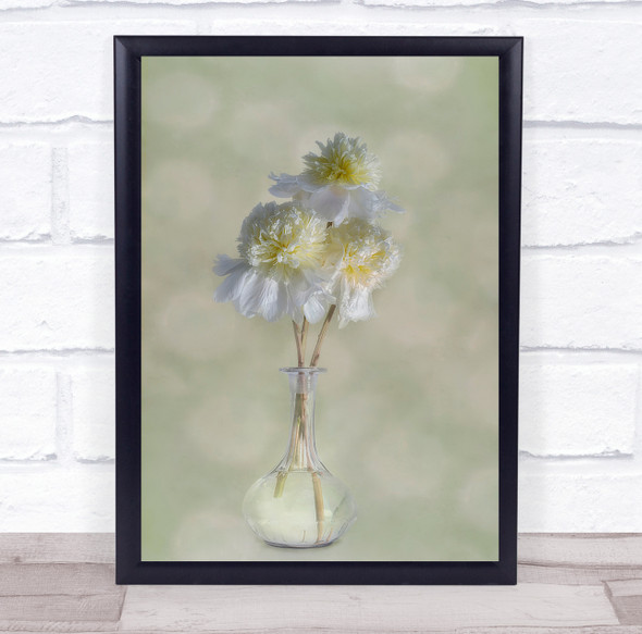 Peonies flower white vase Wall Art Print