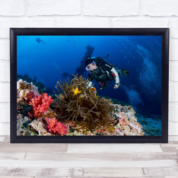 Anemone And A Diver Fish Wall Art Print