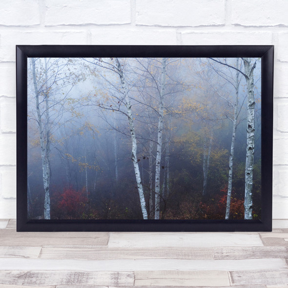 Tone thin trees forest Wall Art Print