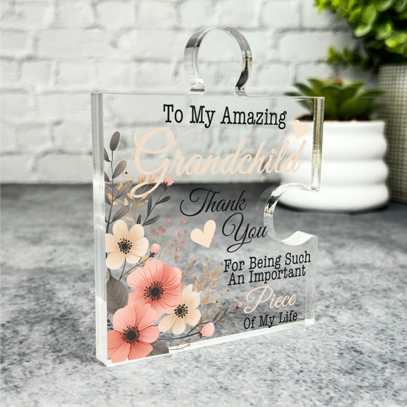 Grandchild Thank You Important Piece Of Life Puzzle Plaque Keepsake Gift