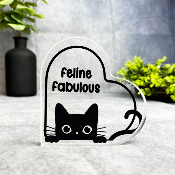 Black Feline Fabulous Gift For Cat Lover Heart Plaque Keepsake Gift