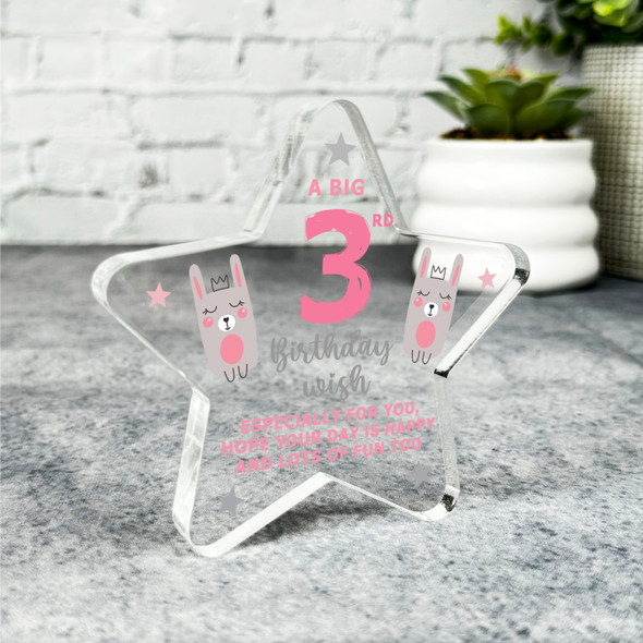 3rd Birthday Present Girl Open Birthday Present Bunny Star Plaque Keepsake Gift