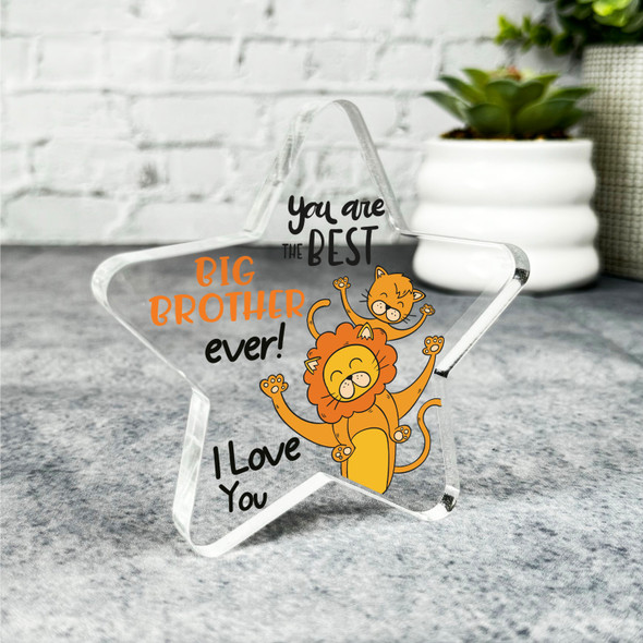 Gift For Big Brother Lion With Child Best Brother Ever Star Plaque Keepsake Gift