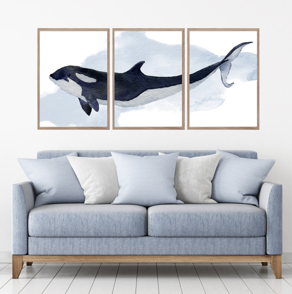 Orca Killer Whale Watercolour Set Of 3 Wall Art Home Decor Picture Framed Prints