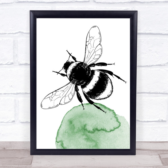 Watercolour Hand Drawn Insects Bee Framed Wall Art Print