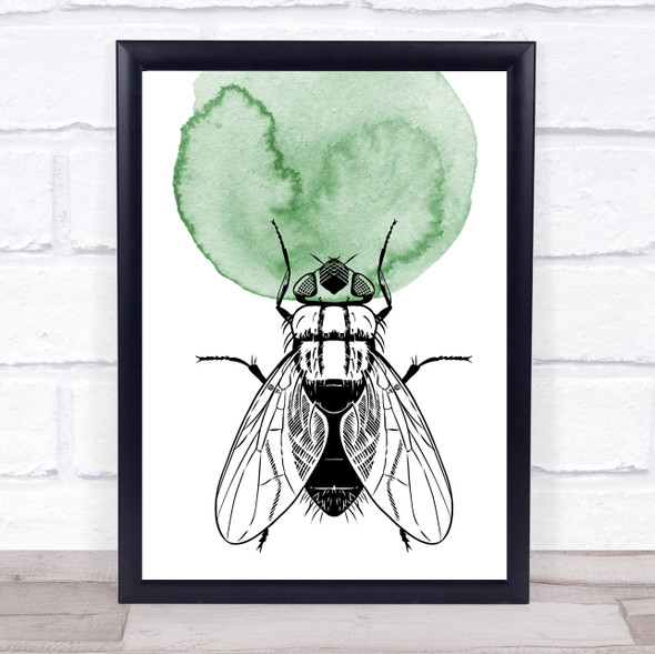 Watercolour Hand Drawn Insects House Fly Framed Wall Art Print