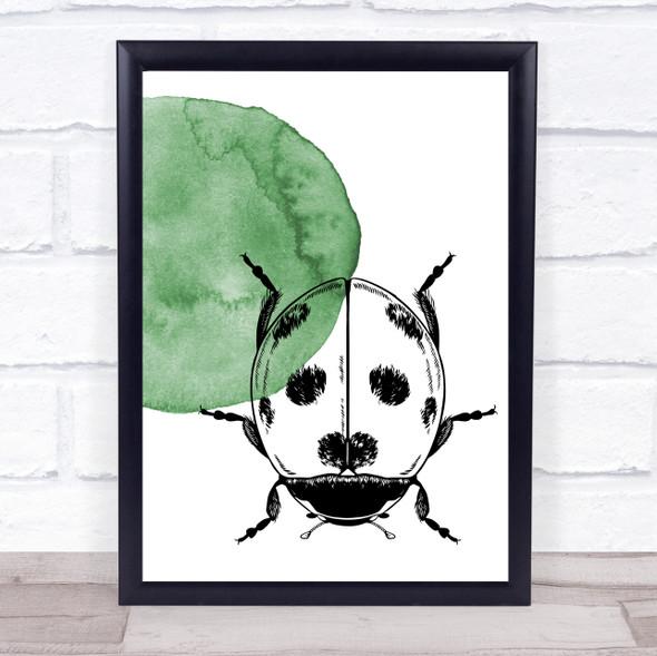 Watercolour Hand Drawn Insects Ladybird Framed Wall Art Print