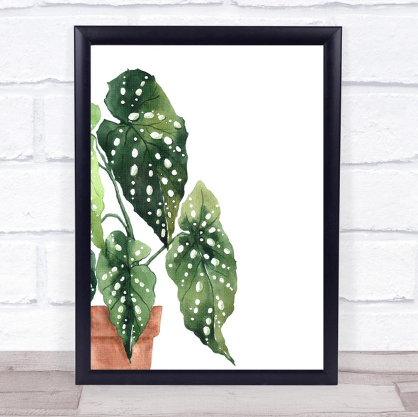 Watercolour Plant In Pot Wall Art Print