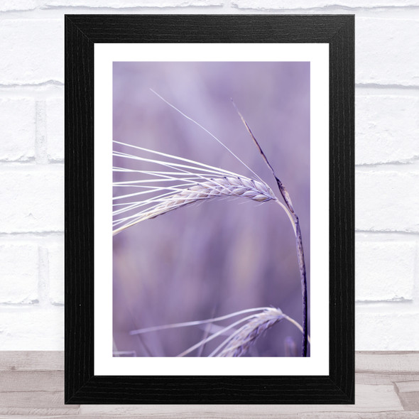 Ear Of Wheat Lilac Purple Design 2 Wall Art Print