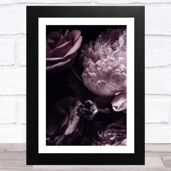 Bouquet Of Pink Peonies Dark Purple Wall Art Print